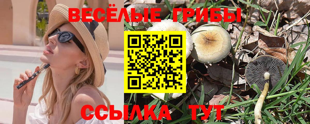 Галлюциногенные грибы ЛСД  Вход с VPN  Чусовой 